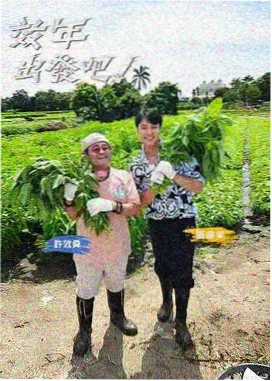 麻雀直播音乐现场演出